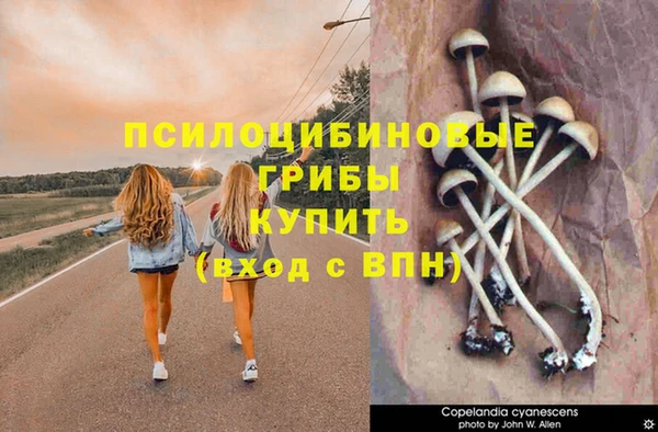 кокаин Бородино