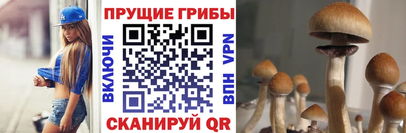 Галлюциногенные грибы мицелий  Медногорск 